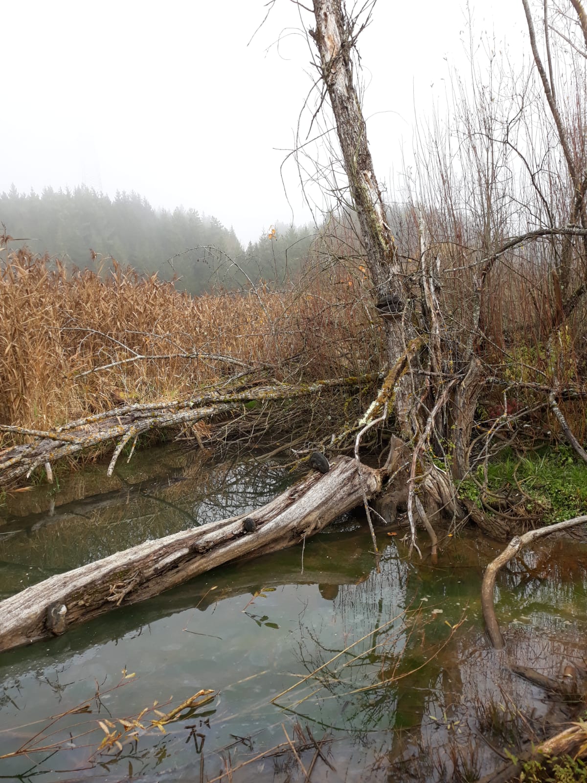 Galeriebild: WhatsApp Image 2022 06 05 at 16.58.32 (3)